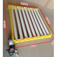 Kit Bandeja Incubadora de huevos